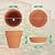 6 Inch Clay Pot for Plant with Saucer, Flower Pot with Tray, 4 Pack Small Terra Cotta Plant Pot with Drainage Hole, Great for Plants, DIY Crafts, Wedding Favor (6inch 4pack)