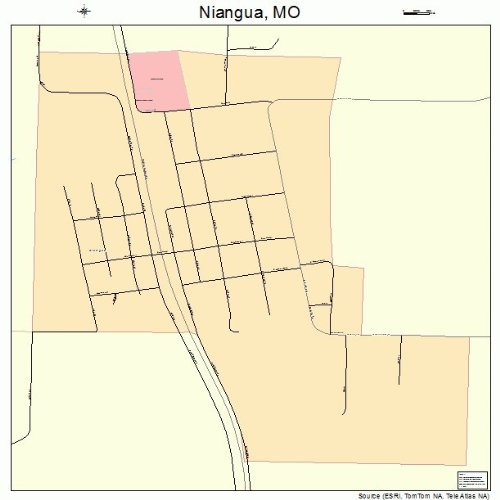 Large Street & Road Map of Niangua, Missouri MO Printed poster size