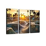 Skateboarding Paradise 3 Pieces Print On Canvas Wall Artwork Modern Photography Home Decor Unique Pattern Stretched and Framed 3 Piece