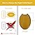 Angel Shield Wood Veneer Natural Toilet Seat with Quiet Close, Easy Clean, Quick-Release Hinges (Elongated, Oak)