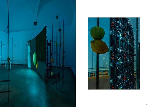 Andro Eradze: Bones of Tomorrow comprendre l'art contemporain livre bilingue - 6