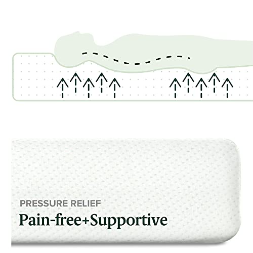 Zinus 6 Inch Green Tea Memory Foam Mattress / Certipur-Us Certified / Bed-In-A-Box / Pressure Relieving, King, White #TOP3