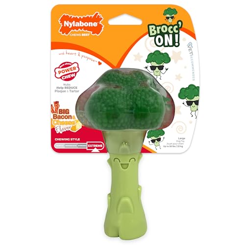 Nylabone-Broccoli-Power-Chew-Toy-for-Dogs-Dog-Toys-for-Aggressive-Chewers-Bacon-Cheese-Flavor-Large-Dogs-Up-to-50-lbs-1-Count Nylabone Broccoli Power Chew Toy for Dogs, Dog Toys for Aggressive Chewers, Bacon & Cheese Flavor, Large Dogs - Up to 50 lbs, 1 Count - Image 1