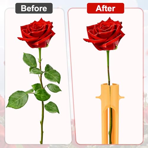 Set herramienta para quitar espinas de rosas 1 pieza miniatura 5