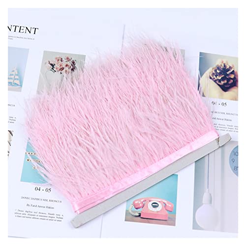 Plumes d'autruche en frange rose pour cacher les bords vides