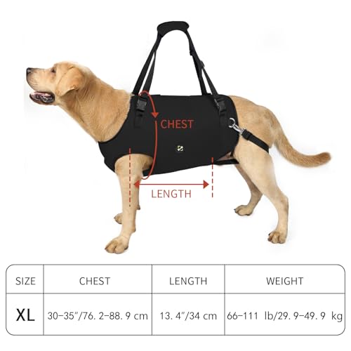 COODEO Dog Sling: Support & Rehabilitation Harness, Adjustable, Padded and Breathable, for Older, Disabled Dogs with Joint Problems or Stability Loss (Black, XL) - Image 6