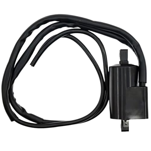 Bobine d'allumage 12V CDI moto pour Yamaha FZR 600 et FZ6 Fazer - 2