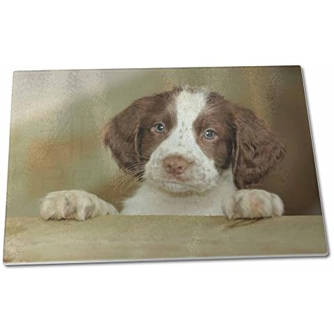 Advanta Group Springer Spaniel Puppy Dog X Large Glass Cutting Chopping Board Cover