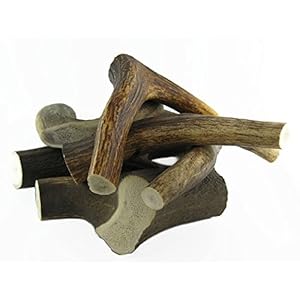 ARTISAN GIFT CO Hondensnack Hertengewei Kauwsnack 100% Natuurlijk – (L) Totaal gewicht +300 gram (2 stuks)