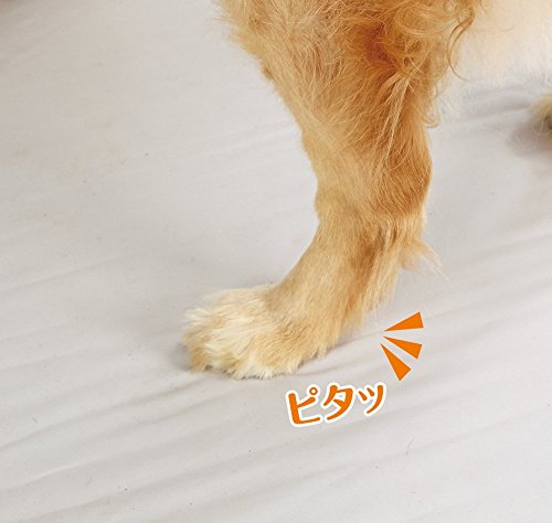 シニア犬 老犬 に優しい滑り止めはどれ 獣医師がオススメする床材とは