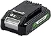 GreenWorks 29842 G24 2 Ah Battery, 24V