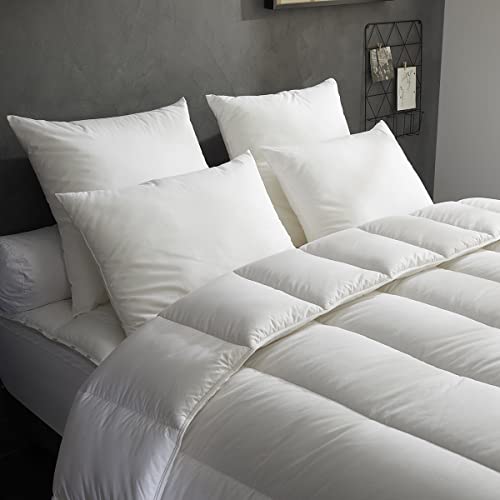 DODO - Lot de 2 Oreillers 60x60 cm - Soutien Ferme - Enveloppe 100% Polyester Microfibre - Garnissage Synthétique Fiber Resist - Lavable en Machine à 40°C