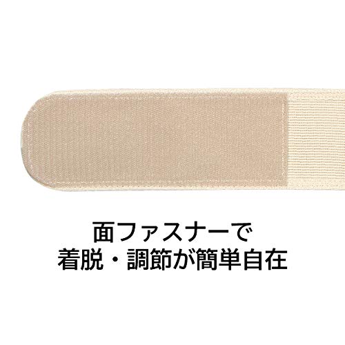 最安値 中山式産業 中山式 脊椎医学キョウセイベルト メッシュ L 0147 の価格比較