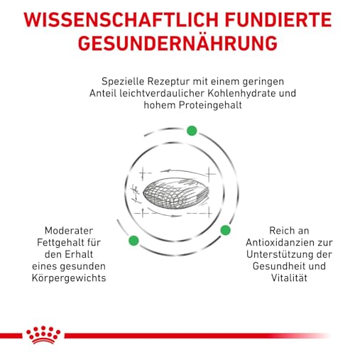 ROYAL CANIN Veterinary DIABETIC | 1,5 kg | Diät-Alleinfuttermittel für Katzen | Zur Regulierung der Glucose Versorgung | Mit einem niedrigen Mono-und Disaccharid Gehalt