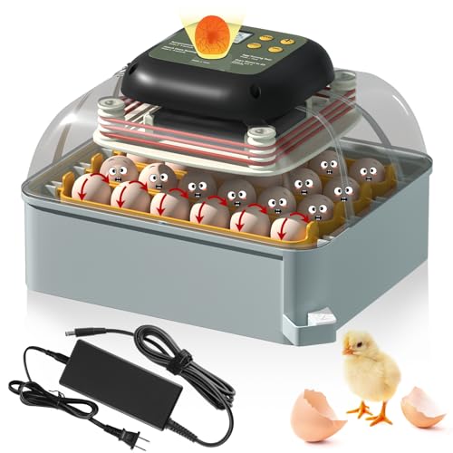 Top 10 Incubator For Chicken Eggs of 2022 Katynel