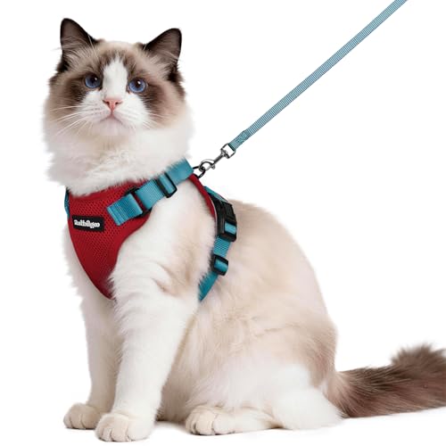 Image of rabbitgoo Cat Harness and Leash Set, Escape Proof Vest, Red & Teal