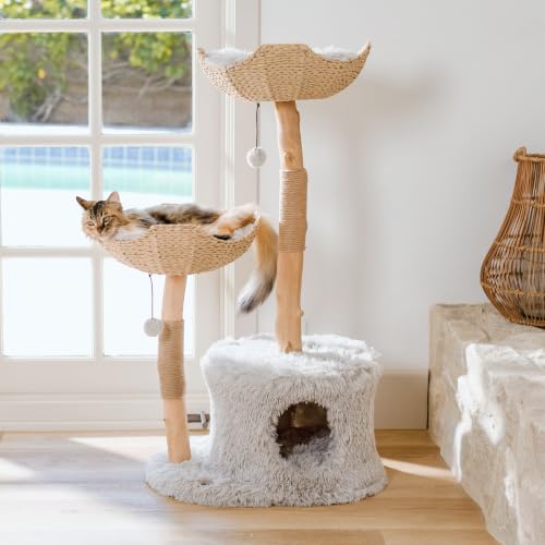 Image of Mau - Modern Cat Tree Tower, Real Branch Wood Condo for Large Cats