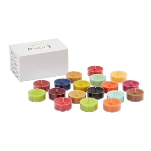 Partylite MiniScents Season Fall, 18 Stück
