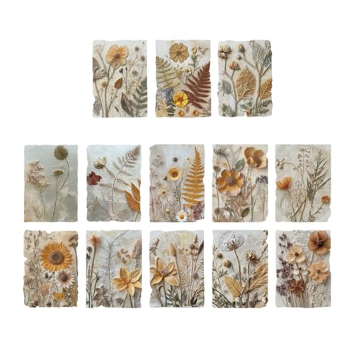 23V[ggXNbvubLOV[gtHgAop̉Ԃ̗t̎̃G{XHW[im[gubNTvC