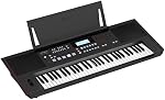 Roland 61-Key Arranger Keyboard (E-X50)