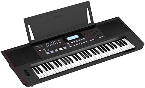 Roland E-X50 Electronic Arranger Keyboard – Easy-to-use | Stereo Speakers | Bluetooth | Professional Sounds | Mic Input | Auto-Accompaniment Function, Black