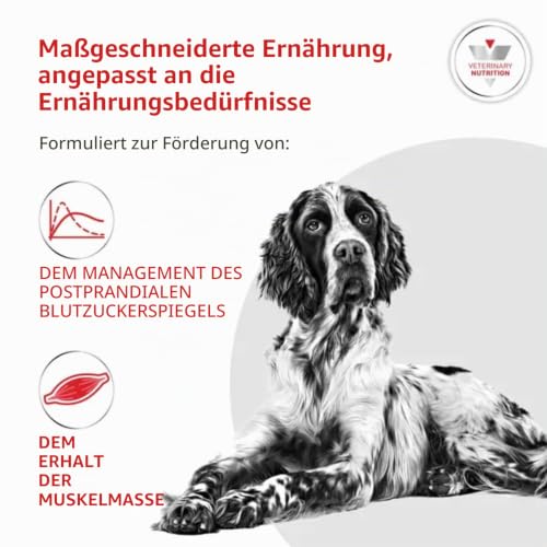 Royal Canin Diabetic Trockenfutter für Hunde - Bei Diabetes mellitus 12 kg