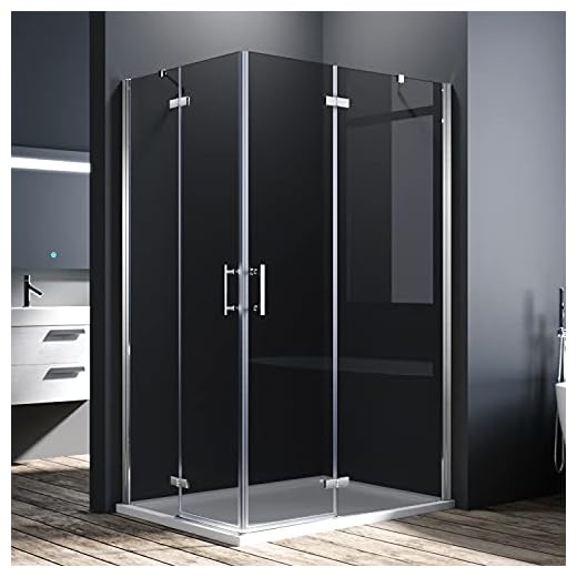 SONNI Duschkabine 90x100 cm Eckeinstieg 195cm Höhe mit Pendeltüren aus 6 mm ESG-Glas Duschkabine Scharniertür Duschabtrennung Eckeinstieg