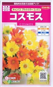 コスモス キャンパス ブライトカラーミックス 花 Amazon