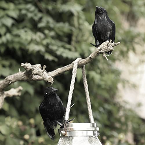 Pájaros de Halloween ATDAWN con plumas negras auténticas para un adorno realista 4