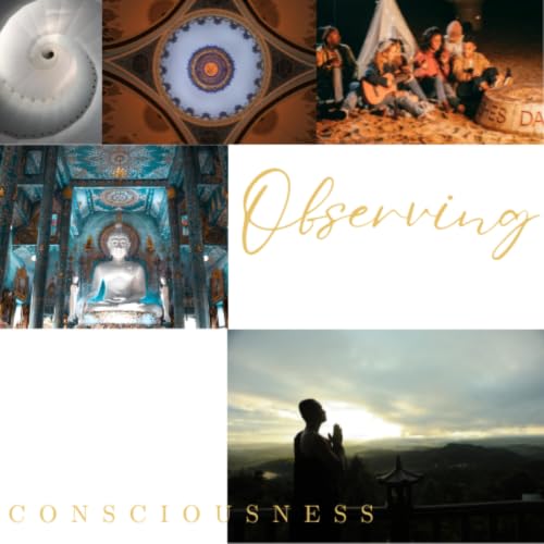 『Observing Consciousness』のカバーアート