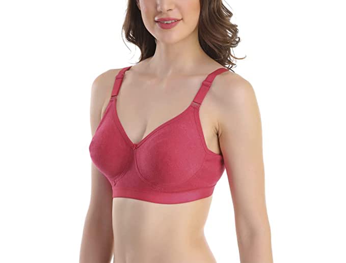 Image of SKDREAMS Blue & Brown & Purple-32D Cotton Blend Seamless Non Padded Non-Wired Full Coverage Pack of 3 Women T-Shirt Bra Combo