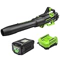 Greenworks 80V 700 CFM Cordless Leaf Blower, 2.5Ah Battery and 45 Minute Rapid Charger