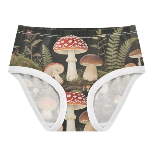 Hipster Panties Breathable Panties Organic Underpants for Baby Girls in Sizes 2T,3T, 4T, 5T, 6Y and 8Y