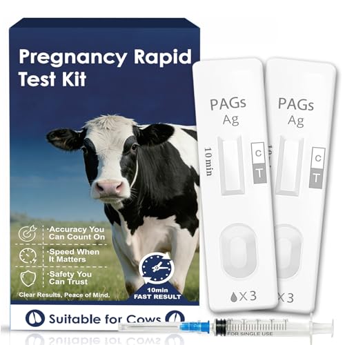 Bovine Pregnancy Test Kit (2 Pack) - Fast Serum/Plasma Detection for Cows High Sensitivity Early Pregnancy Test for Dairy & Beef Cattle - Results in Just 5-20 Minutes
