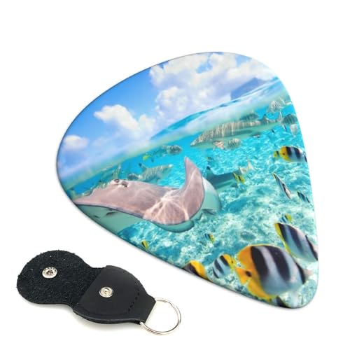 Jtȋ̃vg GLx[XENsbN Abs fރGARy 0.96mm