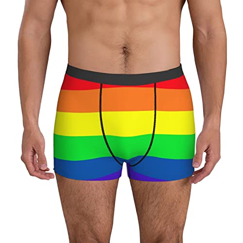 Men's Boxer Briefs Underwear - Gay Pride LGBT Rainbow flag, Soft Comfort Breathable Underpants3