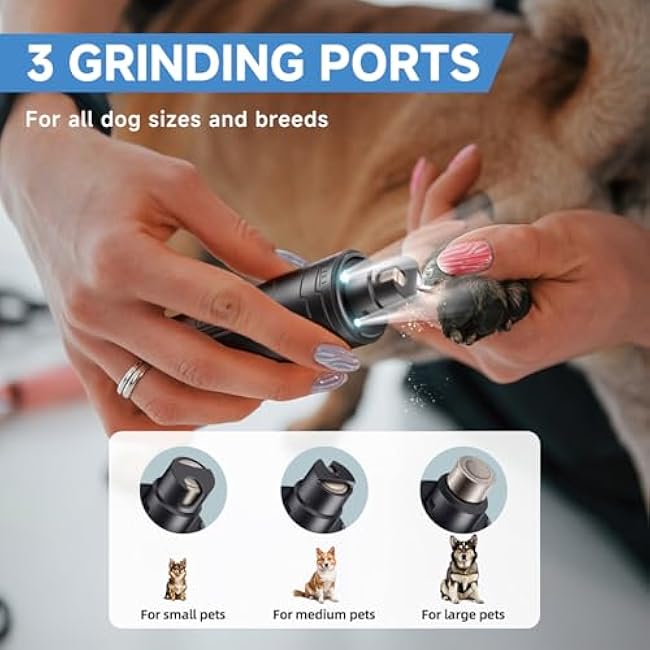 Dog Nail Grinder Quiet 2-Speed Pet Nail Grinder with 3 Led Lights and 3 Ports Rechargeable Electric Dog Nail Trimmer for Large and Small Dogs/Cats and Small Animals Safe (Black)-NhAF4wli