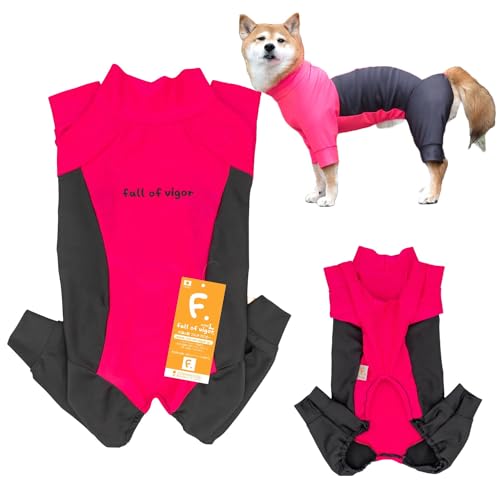 ^ hbOvC TChؑ bVK[h p[X ̕ tIurK[ 26/ZsN BL