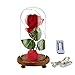 YSBER Beauty & the Beast Red Silk Rose and LED Light with Fallen Petals in Glass Dome on a Wooden Base (Warm white light rose shade)