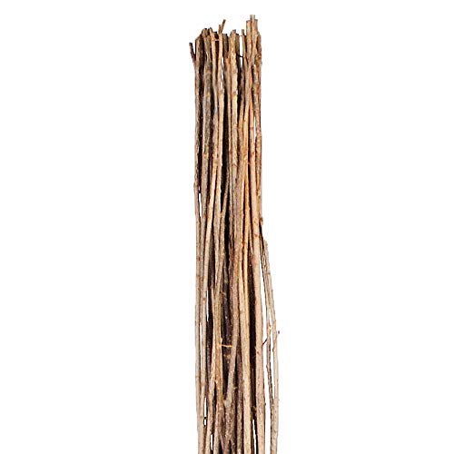 WEIDENPROFI Haselnussruten zum Verarbeiten, Flechtruten aus unbehandelter Hasel, Ø 0,6-1,6 cm, Länge ca. 180 cm - Verpackungseinheit: 25 Stück