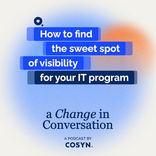 #8 - How to find the sweet spot of visibility for your IT program