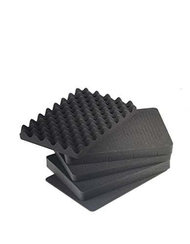 B&W International Mousse pour Type 500 Mallette Noir