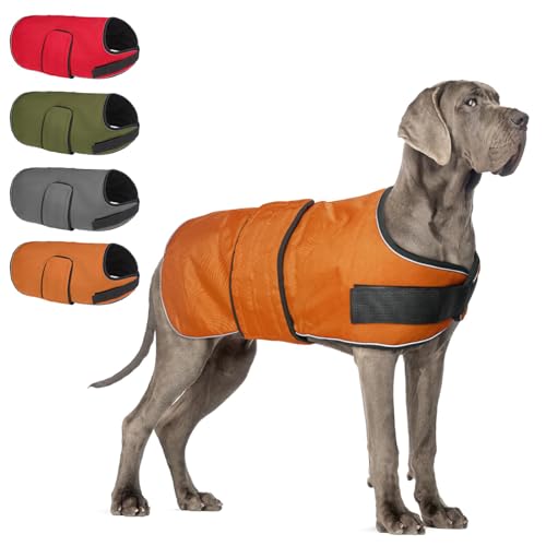 Image of BEAUTYZOO Dog Winter Coat for Large Dogs, Waterproof Oxford Canvas Jackets
