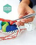 Discovery Toy Human Anatomy Kit
