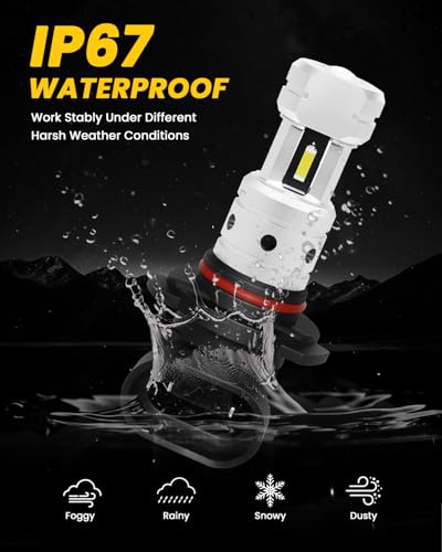 Image of PHINLION 9006 LED Fog Light Bulbs 6000K Xenon White, 3800 Lumens Super Bright CSP 9006 HB4 LED Fog Bulb Replacement for Cars Trucks, 1:1 Halogen Size, Non-polarity, Pack of 2