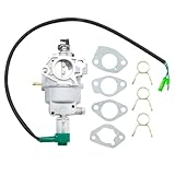 Anxingo 47.131000.22 Carburetor, Replacement for Champion YF190FD-2-211 9000w 439 cc Generators, Rep