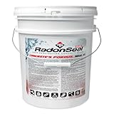 RadonSeal Plus Deep-Penetrating Concrete Protectant Sealer, Reduces Basement Moisture & Radon Gas, Strengthens Concrete, Outdoor/Indoor, Paintable - 5 Gals