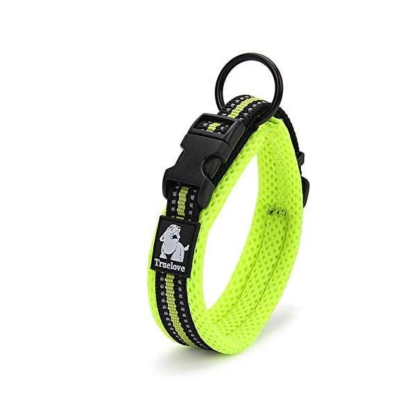 Chai’s Choice Best Padded Comfort Cushion Dog Collar for Medium and Large Dogs. Perfect Match for Chai’s Choice Front Range Harness and Leash. (X-Large, Green) Please Measure Before Ordering. Chai’s Choice Best Padded Comfort Cushion Dog Collar for Medium and Large Dogs. Perfect Match for Chai’s Choice Front Range Harness and Leash. (X-Large, Green) Please Measure Before Ordering.