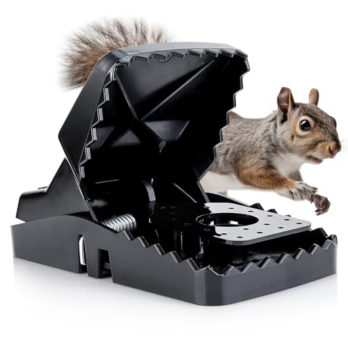 Squirrel Trap (2 Pack) - Consistent & Humane Traps Every Time with no Failures - Powerful Spring - 5 Large Opening - 96% Instant Kill - for Attic Garden Forest & More - Reusable - Easy Setup