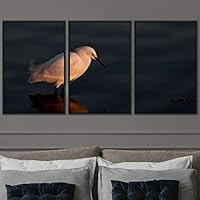 3 Piece Framed Canvas Wall Art Beach Birds Canvas Prints Home Artwork Decoration for Living Room,Bedroom - 16